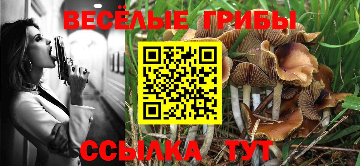 Торжок  Псилоцибиновые грибы прущие грибы  Вход с VPN 